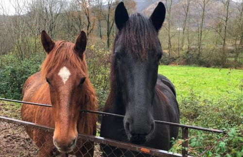 Iturrizar Alojamiento Rural - Foto 33