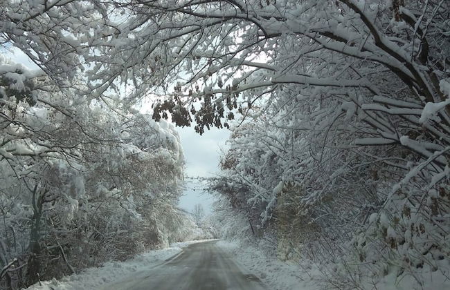 Villa Nina in Kramolin, Beautiful Stay in Bulgaria - Foto 15