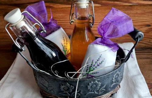 Zollhaus nad Zalewem Mietkowskim - Photo 28