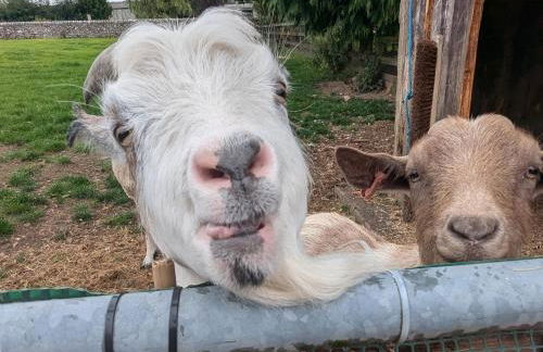 The Old Farmhouse at Brackenthwaite Farm - Photo 32