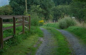 Kleine Villa im wilden Garten - Foto 18