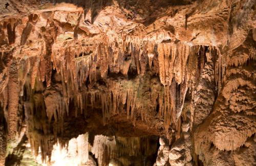 Casa da Palmeira - Foto 34