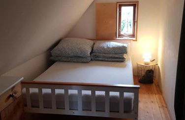 Fischerstern - Foto 8