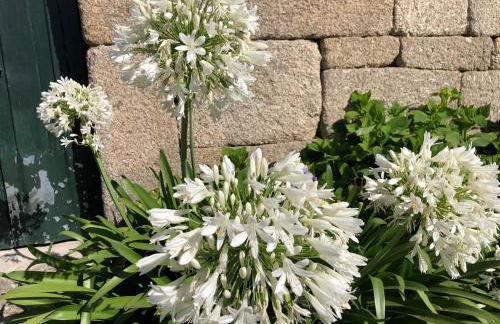 Casa de Aldeia - Foto 3