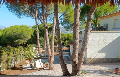 Apartamentos Dos Carneros - Photo 35