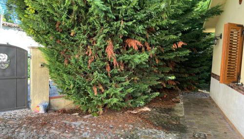 Villa Carmela - Foto 5, Garden, Garden view