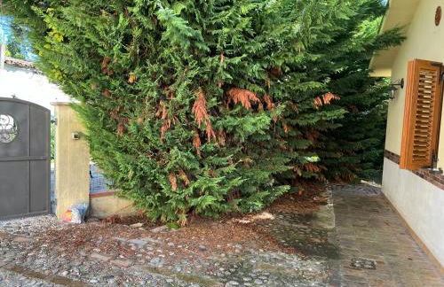 Villa Carmela - Foto 5