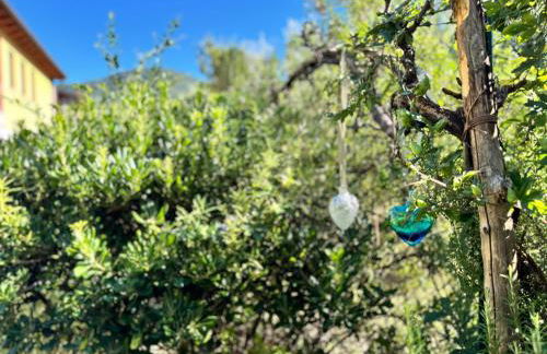 Sweet Home en Arquá Petrarca - Photo 21