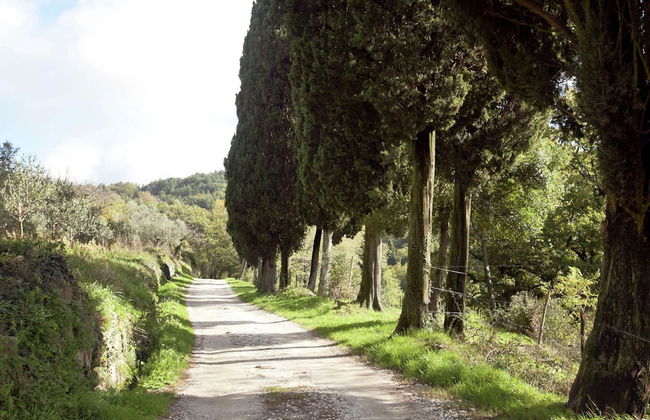 Idyllic Tuscan Hideaway With Pool and spa - Foto 33