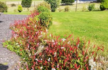 Bwthyn Plas Hafod Cottage - Photo 22