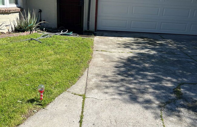 3216 Palmer St - Foto 40