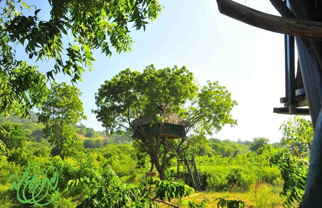 Beddegama Eco - Photo 37