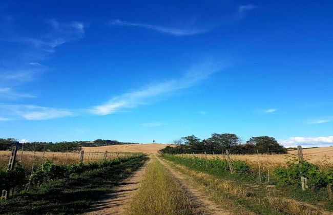 Lavish Villa in Peccioli - Foto 31