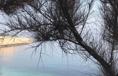 Casal Mastro appartamenti e camere con piscina - Foto 53