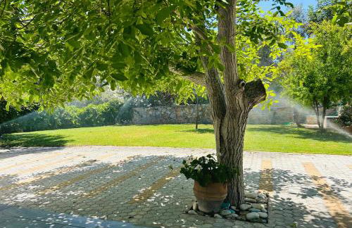 Chrisi Holiday Home - 500 sqm Private Gardens & Nature View - 300m by the sea - Photo 14