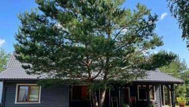 Farmstay Marianówka u Tesi - Foto 2