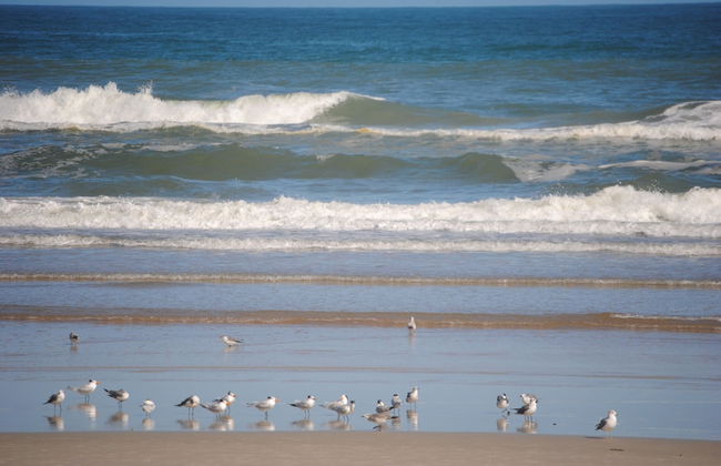 Silver Beach Club - Foto 31