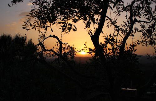 La Rocca delle Pigne - Foto 27