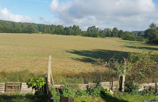 Gemuetlicher Bungalow mit Garten UND Whirlpool in Nakenstorf - Photo 50