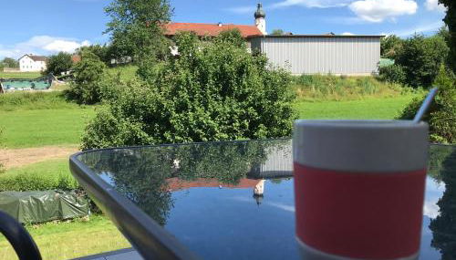 Ferienwohnung „Frosch“ - Foto 5, Garden