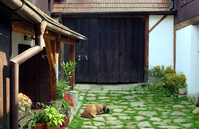 5 bedroom House in Benešov nad Černou with private pool and garden - Photo 19