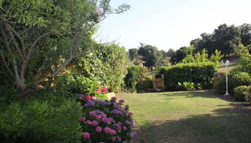 Residence Helios - Foto 3, Garden