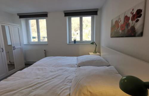 Ferienwohnungen Flussufer - Neckargemünd Altstadt - Foto 32