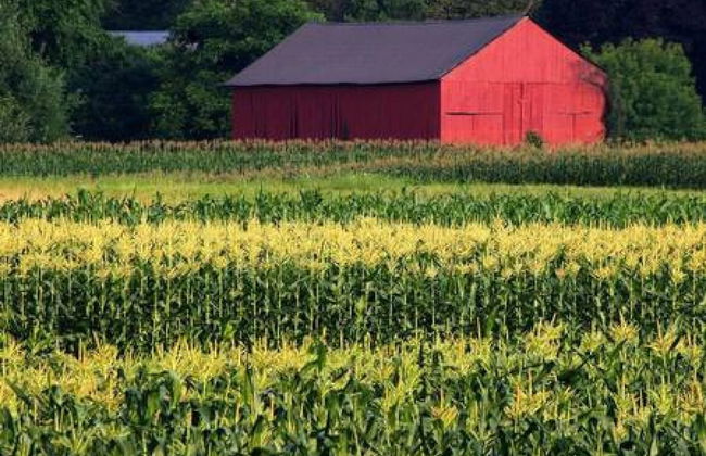 Amherst Country Oasis Perfect Location Umass - Foto 1