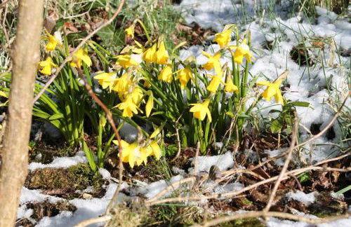 Ballyhargan Farm House - Foto 31