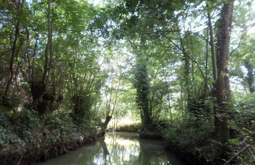 La Libellule - Foto 9