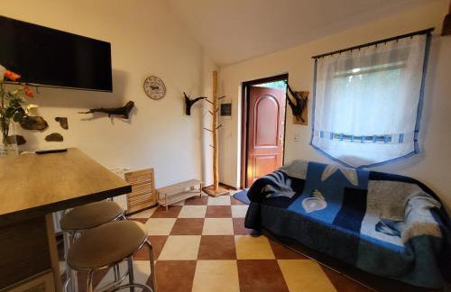 Domki Pod Brzoza - Foto 32