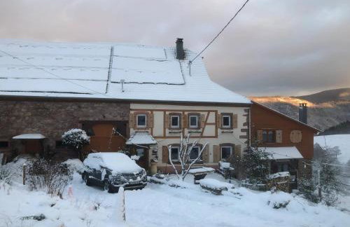 Maison pittoresque à Sainte-Croix-aux-Mines, vue sur la montagne - Foto 72