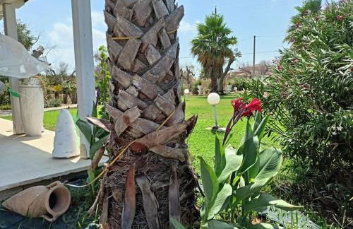 Villa delle Stelle con piscina - Foto 21