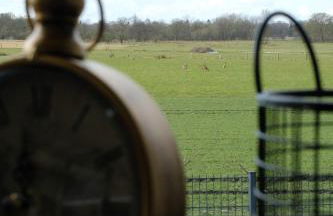 Modern dream house with private spa and gym - Foto 47