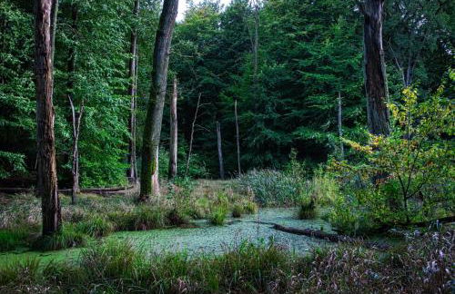 Ferienwohnung Haus Rita - Foto 34