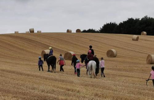 Hof Eichendiek Time Out Village - Foto 7