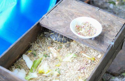 RUSTICO ALLE MURA Love & Bike - Foto 66