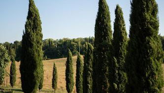 Villa Le Caggia - Foto 4