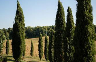 Villa Le Caggia - Foto 4