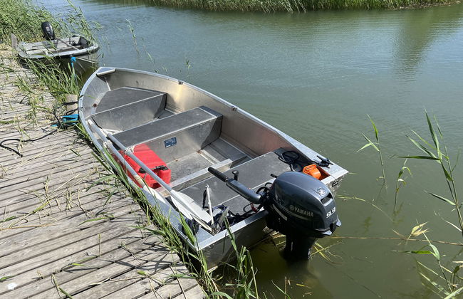 Sjöboda sea - Photo 7