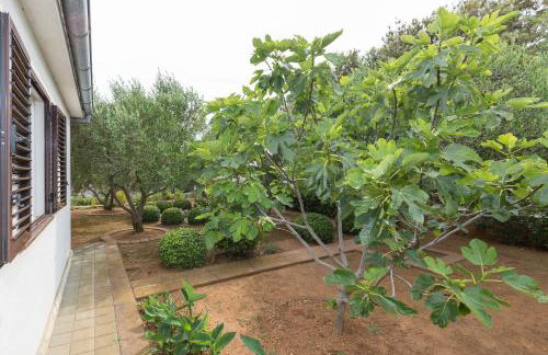 Beach apartment M & B - Foto 30