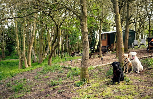 North Norfolk Glamping - Foto 6