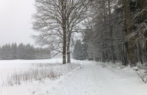 Strażnica Pod Lasem - Foto 69