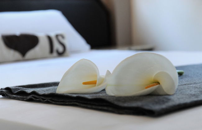 Napa City Apartments - Foto 5