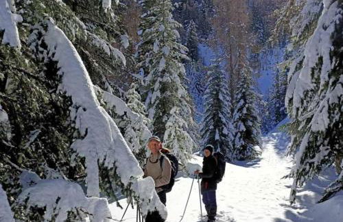 Maison complète Ganzes Haus House 6 Peronnes La Finière Seealpen Isola Village bei Nizza Alpes -Maritimes près de Nice 70 km - Photo 57