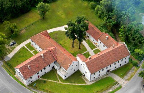 Zamek w Dzięgielowie - Foto 18