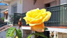 La Tenería Chalet - Foto 3