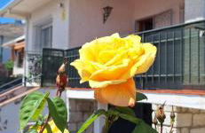 La Tenería Chalet - Photo 1