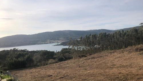 Ático de Carmen - Foto 4