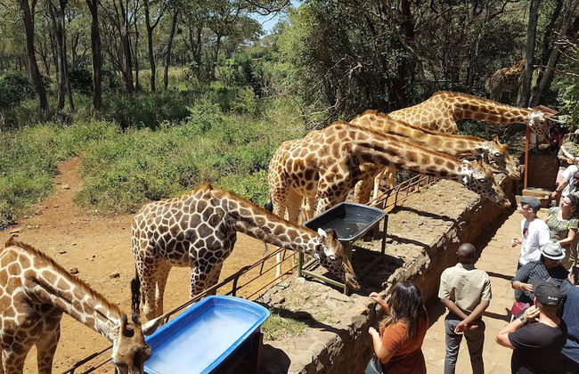 Achill Houses - Foto 57